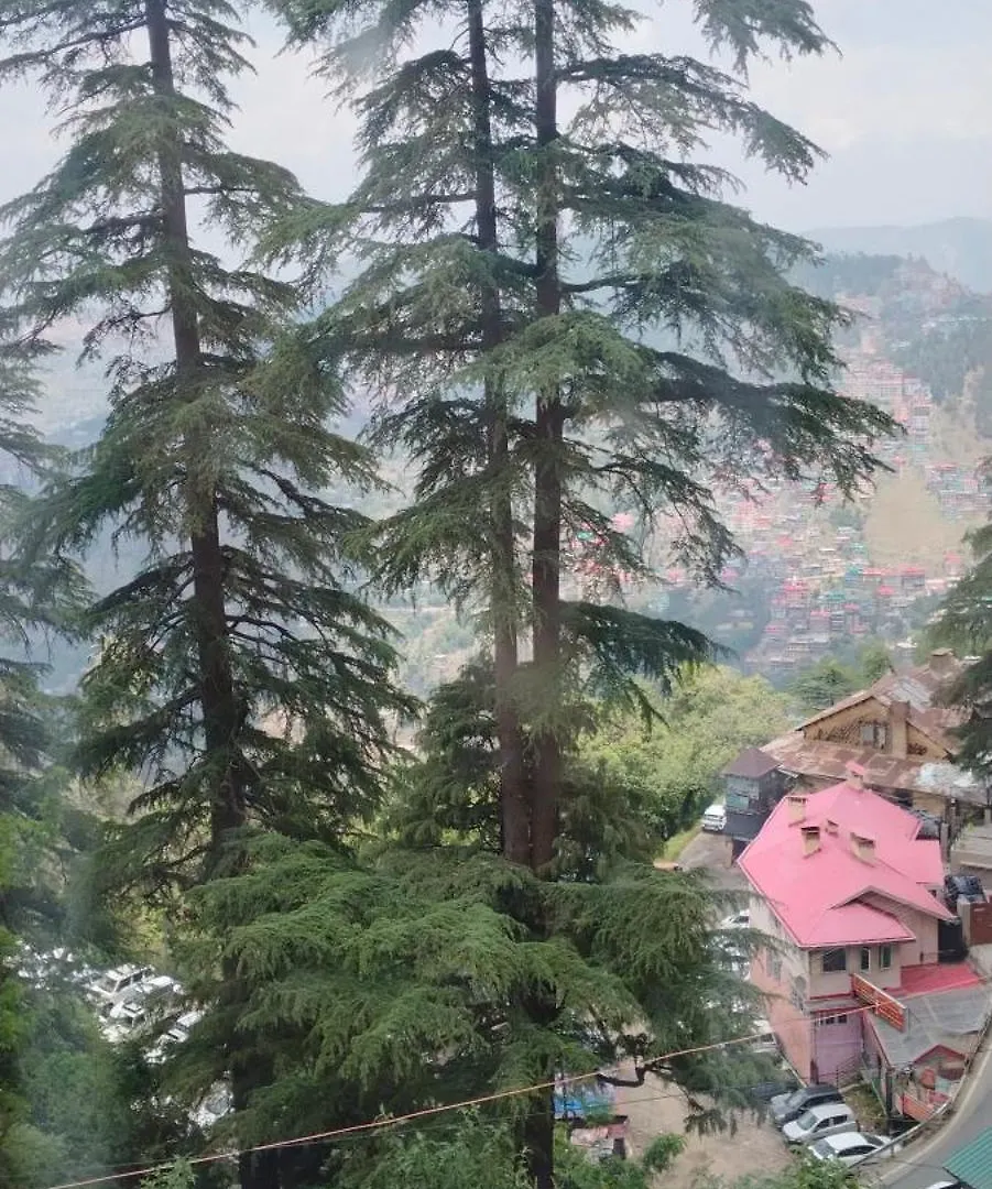 Krishna Hill Stay Near Mall Road Shimla 0*,  India